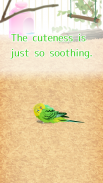 治愈的鹦鹉育成游戏 screenshot 8