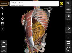 Anatomia - Atlante 3D screenshot 13