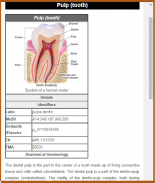 Basic Dental Surgery screenshot 6