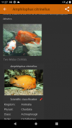 Aquarium fish screenshot 1