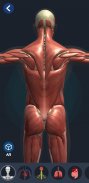 Human Anatomy 3D screenshot 0