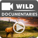 Natural Geographic Latest Documentaries 2020