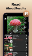 Mushroom Identification screenshot 2