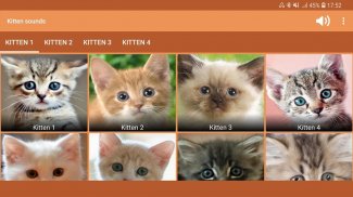 Kitten Sounds screenshot 5
