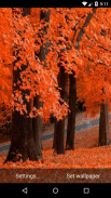 Autumn Live Wallpaper HD screenshot 4