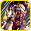 Havoc: Zombie Survival Icon