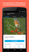 Audubon Bird Guide screenshot 4