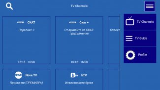 SKAT MobileTV screenshot 8