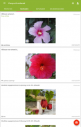 PlantNet Identifica Plantas screenshot 5