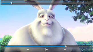 VLC Streamer Lite screenshot 4