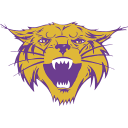 Bethel University Athletics