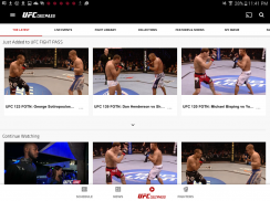 UFC screenshot 1