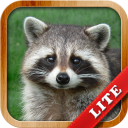 Animals for Kids Icon