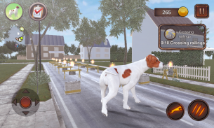 Simulateur de chien Parsons screenshot 5