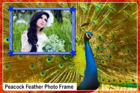 Peacock Feather Photo Frame screenshot 4