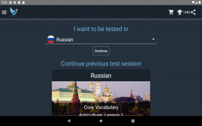 Russian Language Tests screenshot 2