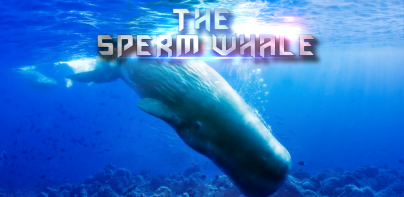 The Sperm Whale