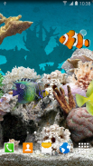 Coral Fish Live Wallpaper screenshot 5