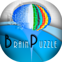 Brain Puzzle Icon