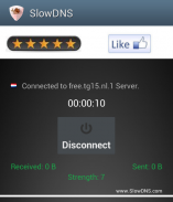 VPN Over DNS  Tunnel : SlowDNS screenshot 5
