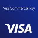 Visa Commercial Pay