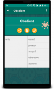Punjabi Hindi Dictionary screenshot 5