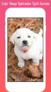 Cute Dogs Labrador Lock screen HD Applock security screenshot 3