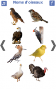 les noms des oiseaux avec photos et bruit oiseau screenshot 3