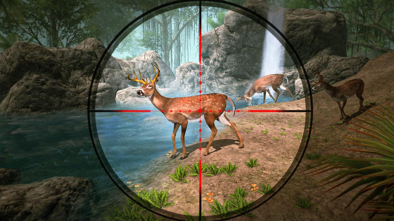 Deer Hunting Animal Shooting