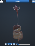 Anatomy 3D screenshot 0
