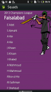 Hit Wicket Cricket - Champions League Game screenshot 3