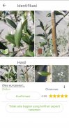PlantNet Plant Identification screenshot 0