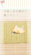 癒しのウサギ育成ゲーム screenshot 5