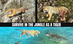 Tigre contre dinosaur Aventure screenshot 2