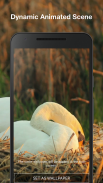 Cisnes Papel de Parede Animado screenshot 2