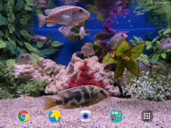 Aquarium 4K Live Wallpaper screenshot 10
