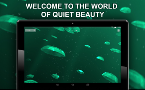 Jellyfishes 3D live wallpaper screenshot 4