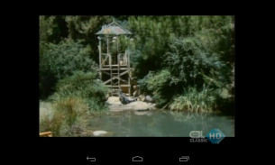 TV italiana in diretta screenshot 12