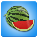 Best Diet Foods Icon