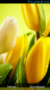 Tulips Live Wallpaper screenshot 1