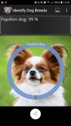 Identify Dog Breeds screenshot 1