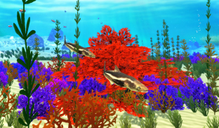 The Cobia screenshot 8