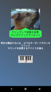 犬ピアノ screenshot 2