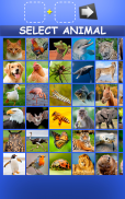 Mix Aminals. Animal morphing screenshot 3