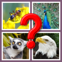 Guess the Animal Icon