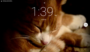 Sleepy Cat Live Wallpaper screenshot 4