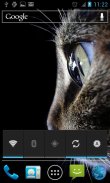 Fondos de pantalla Animal screenshot 4