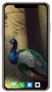 Peacock HD Wallpaper screenshot 2