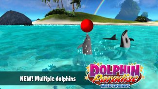 Dolphin Paradise: Wild Friends screenshot 1