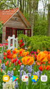 Flowers Live Wallpaper screenshot 5